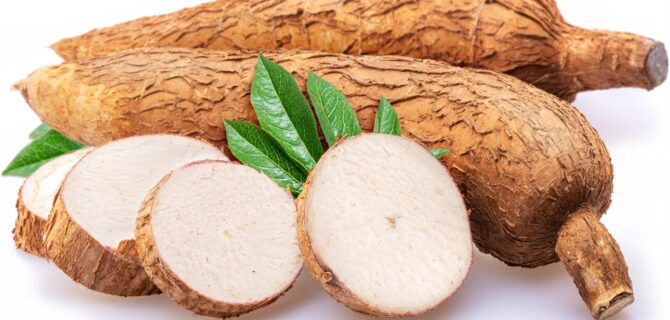 81LVXMn1ezL._AC_SL1500_